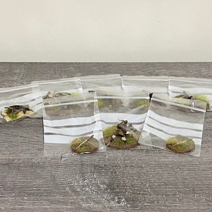 28mm Zulu War 1879 Tribe Casualties Painted Metal Miniatures War Games 8 Figs