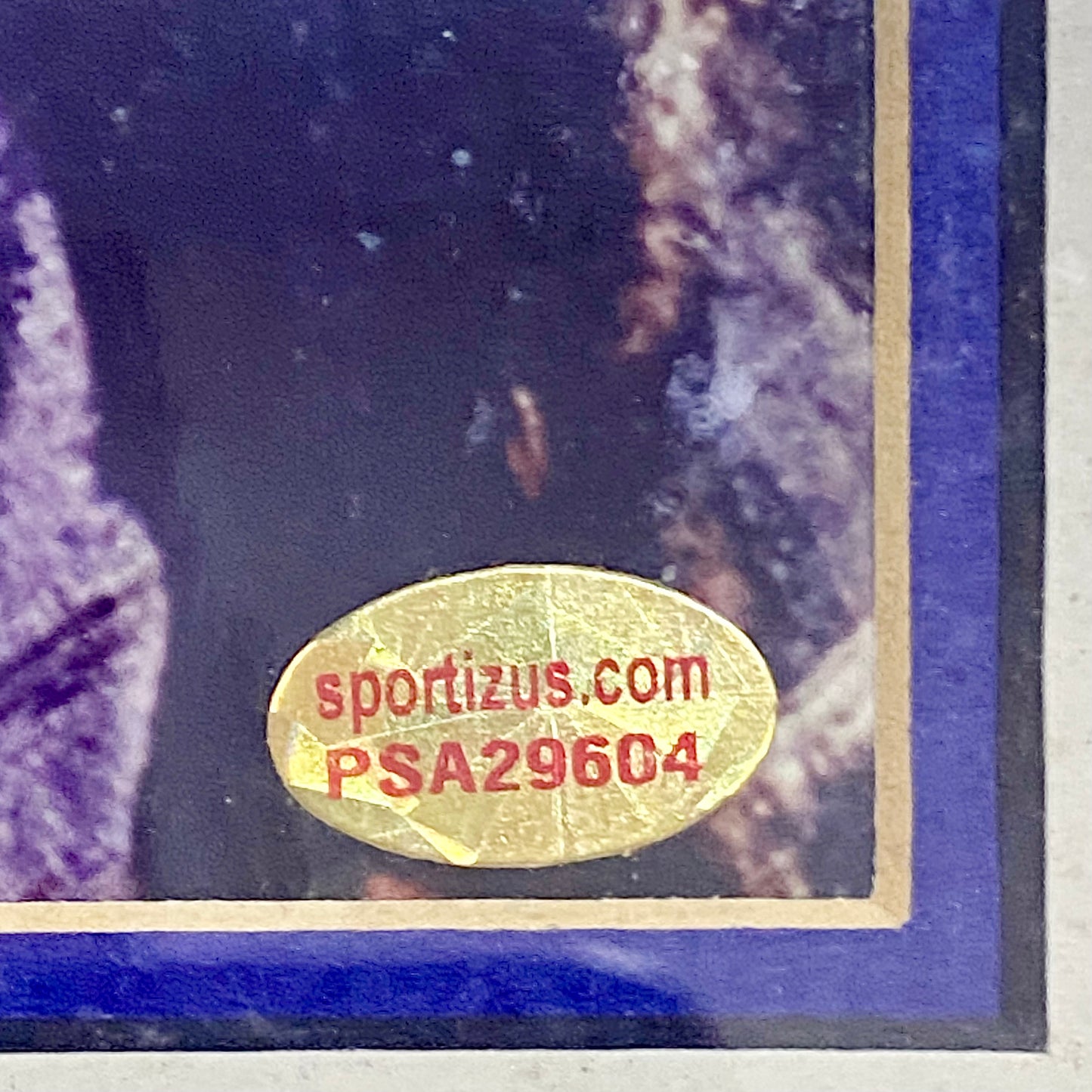 Johnny Depp & Orlando Bloom Pirates Of The Caribbean PSA Signed Art Framed Rare