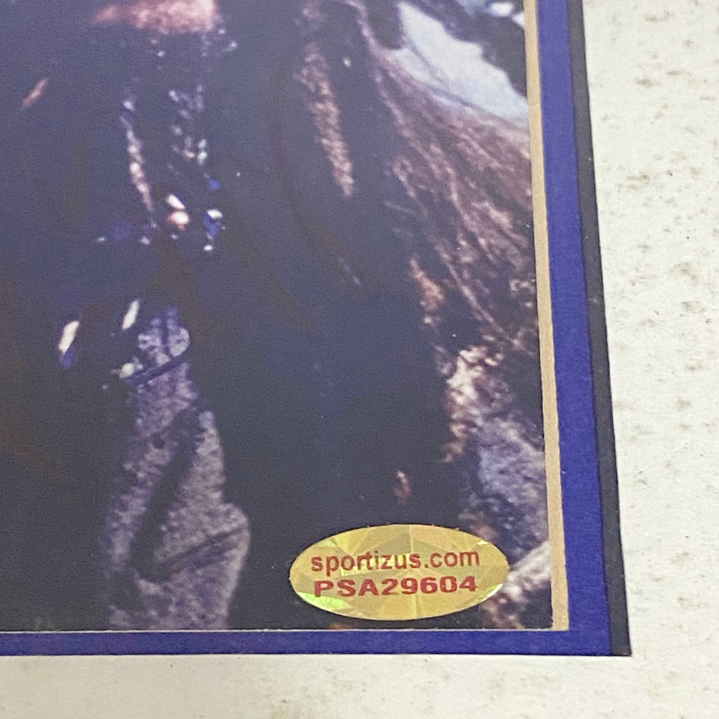 Johnny Depp & Orlando Bloom Pirates Of The Caribbean PSA Signed Art Framed Rare