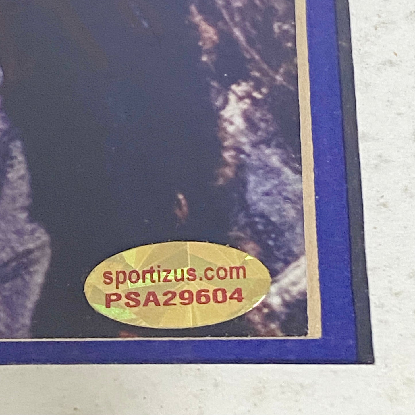 Johnny Depp & Orlando Bloom Pirates Of The Caribbean PSA Signed Art Framed Rare