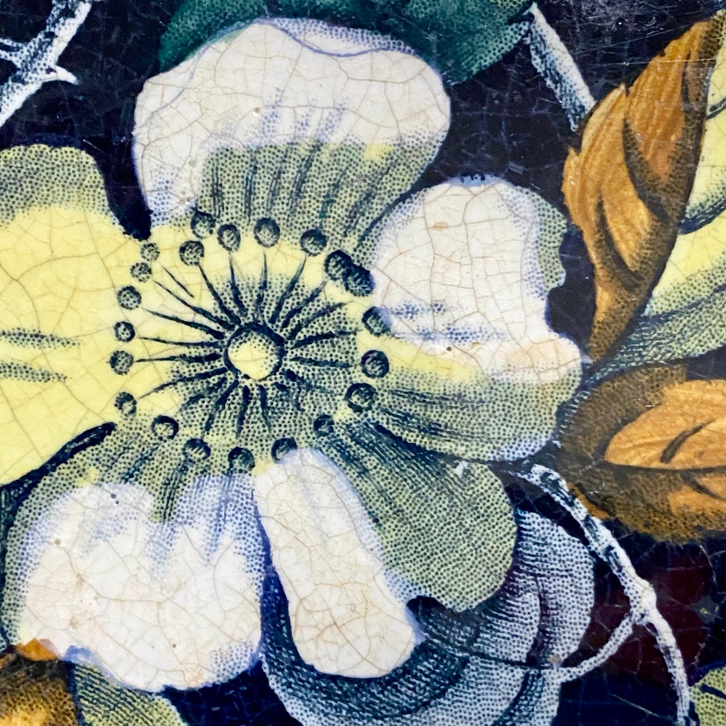 Antique Botanical Floral Flower Ceramic Tile Decorative Art Wooden Framed Rare