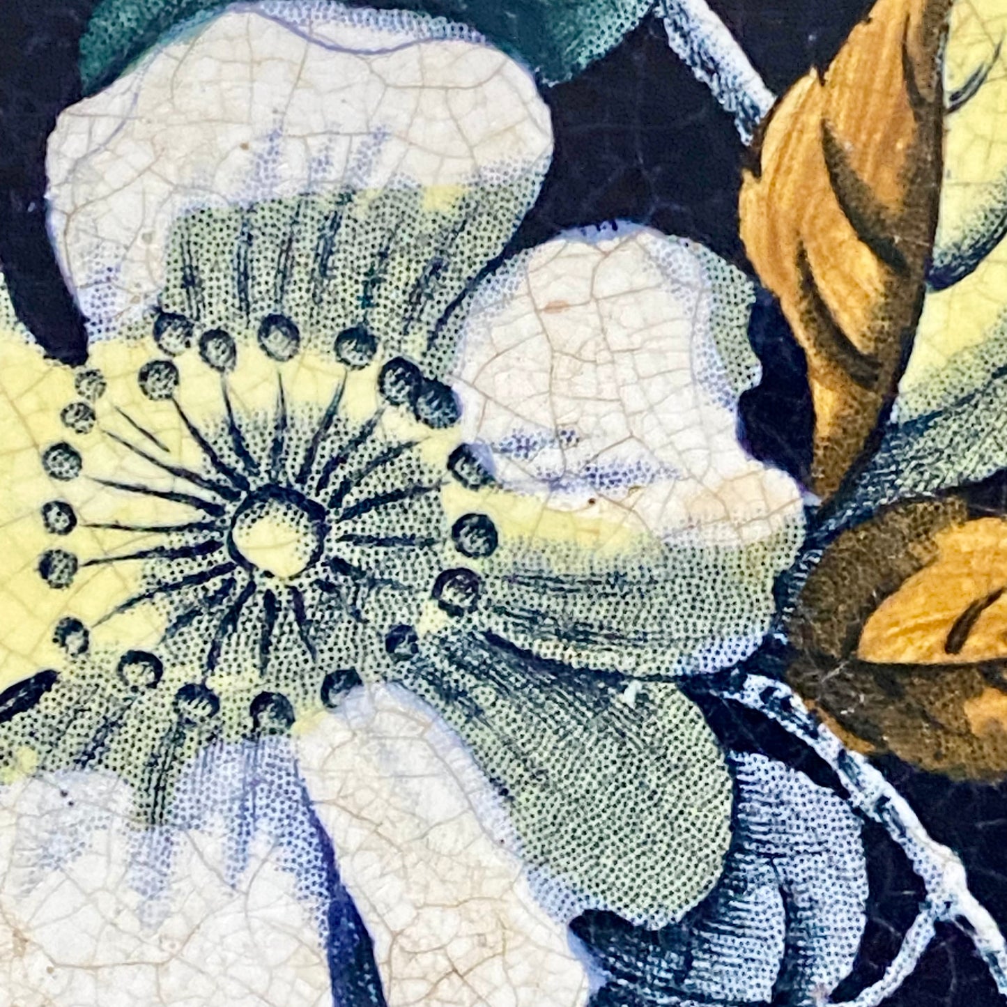 Antique Botanical Floral Flower Ceramic Tile Decorative Art Wooden Framed Rare