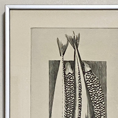 Vintage Summer Catch Fish Etching Print Signed C Smith 1986 Framed & Glazed Rare