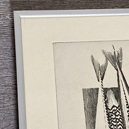 Vintage Summer Catch Fish Etching Print Signed C Smith 1986 Framed & Glazed Rare