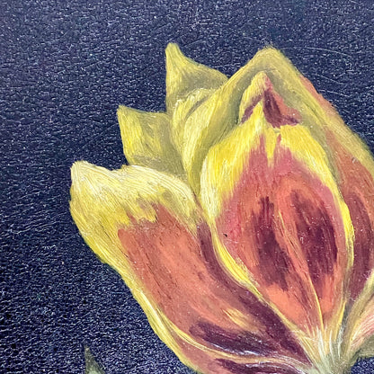 Vintage Yellow And Red Blooming Tulips Still Life Oil On Board Painting Framed
