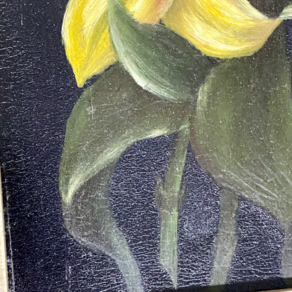Vintage Yellow And Red Blooming Tulips Still Life Oil On Board Painting Framed