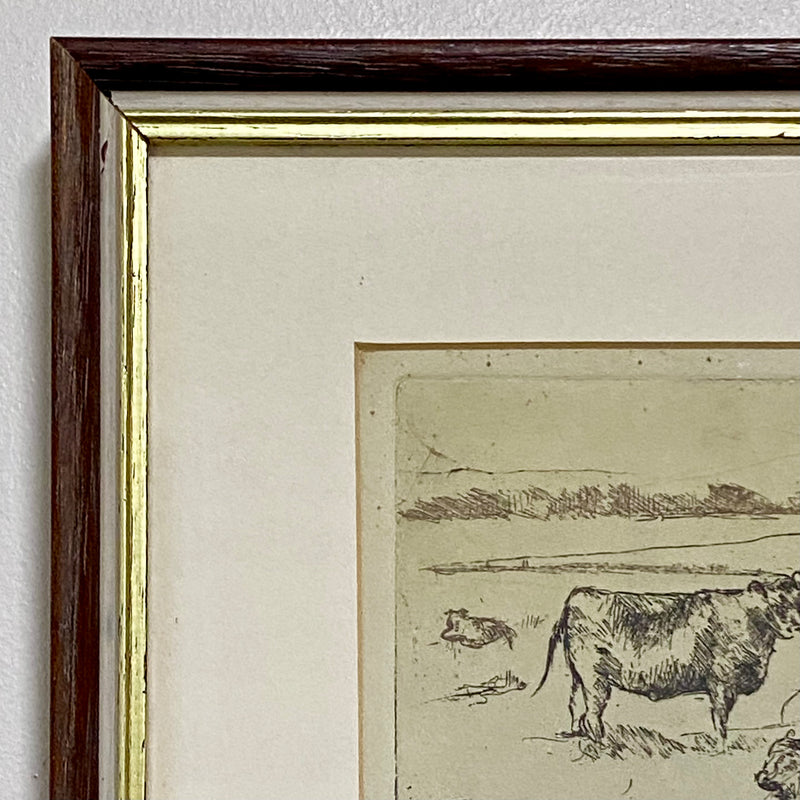 Vintage Cows Etching Signed Sarah Lewthwaite 1992 No.1 / 20 Framed & Glazed Rare