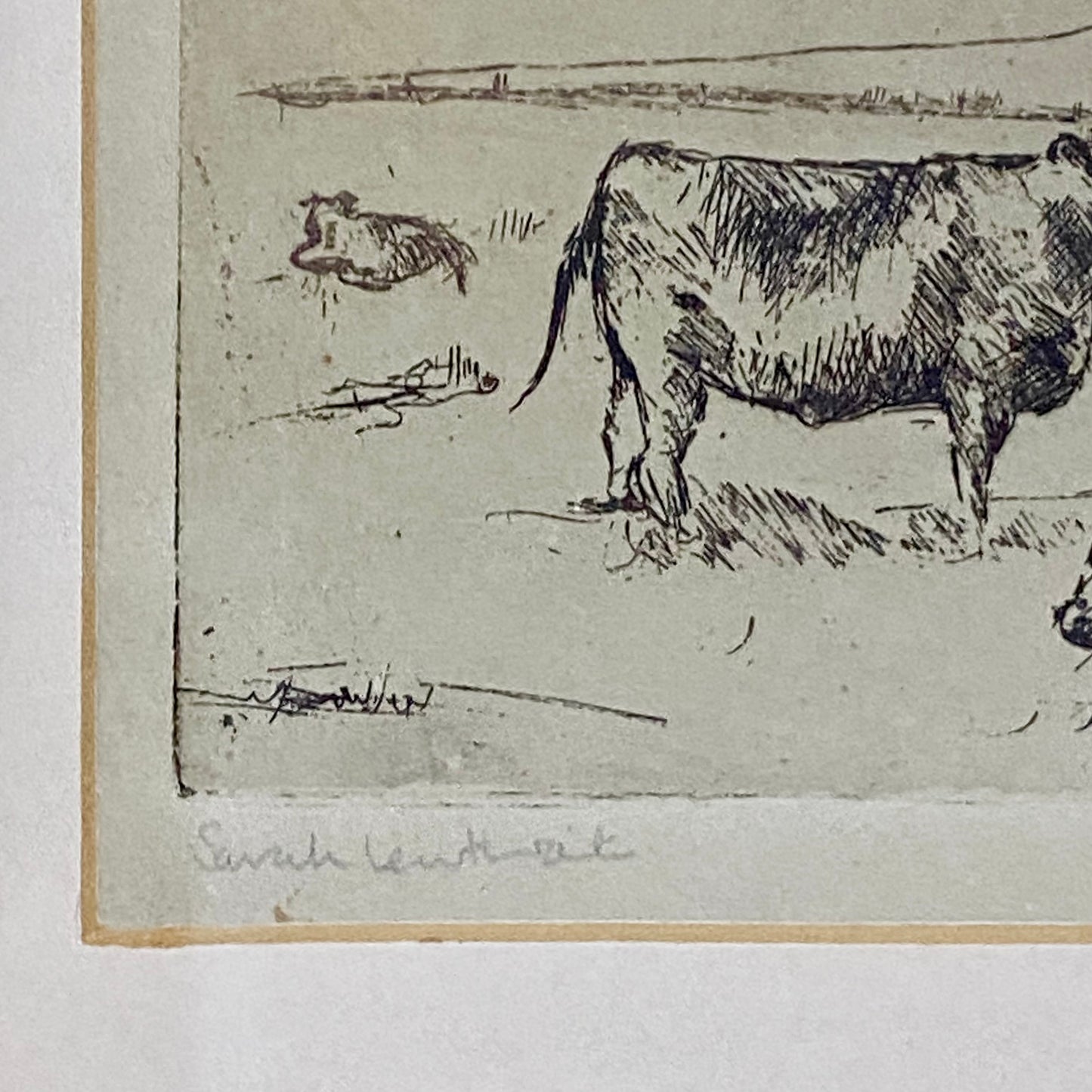 Vintage Cows Etching Signed Sarah Lewthwaite 1992 No.1 / 20 Framed & Glazed Rare