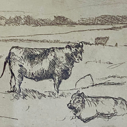 Vintage Cows Etching Signed Sarah Lewthwaite 1992 No.1 / 20 Framed & Glazed Rare