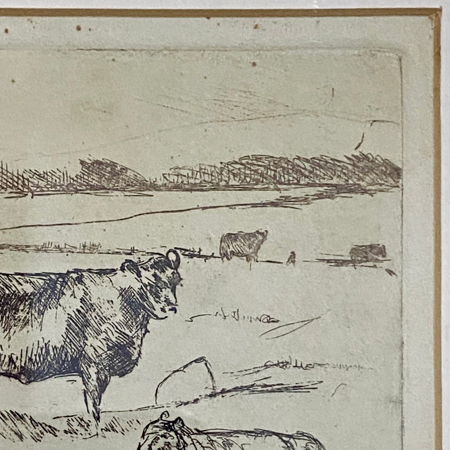 Vintage Cows Etching Signed Sarah Lewthwaite 1992 No.1 / 20 Framed & Glazed Rare