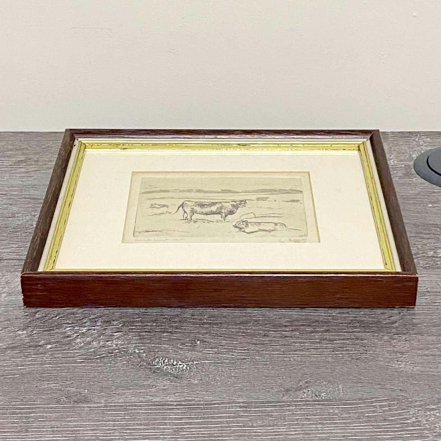 Vintage Cows Etching Signed Sarah Lewthwaite 1992 No.1 / 20 Framed & Glazed Rare