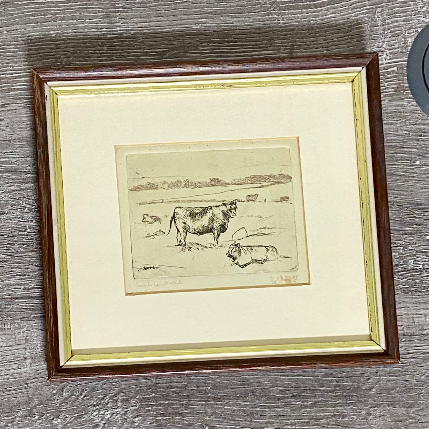 Vintage Cows Etching Signed Sarah Lewthwaite 1992 No.1 / 20 Framed & Glazed Rare