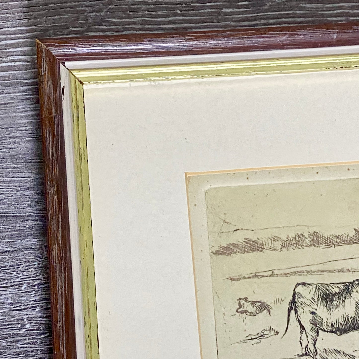 Vintage Cows Etching Signed Sarah Lewthwaite 1992 No.1 / 20 Framed & Glazed Rare