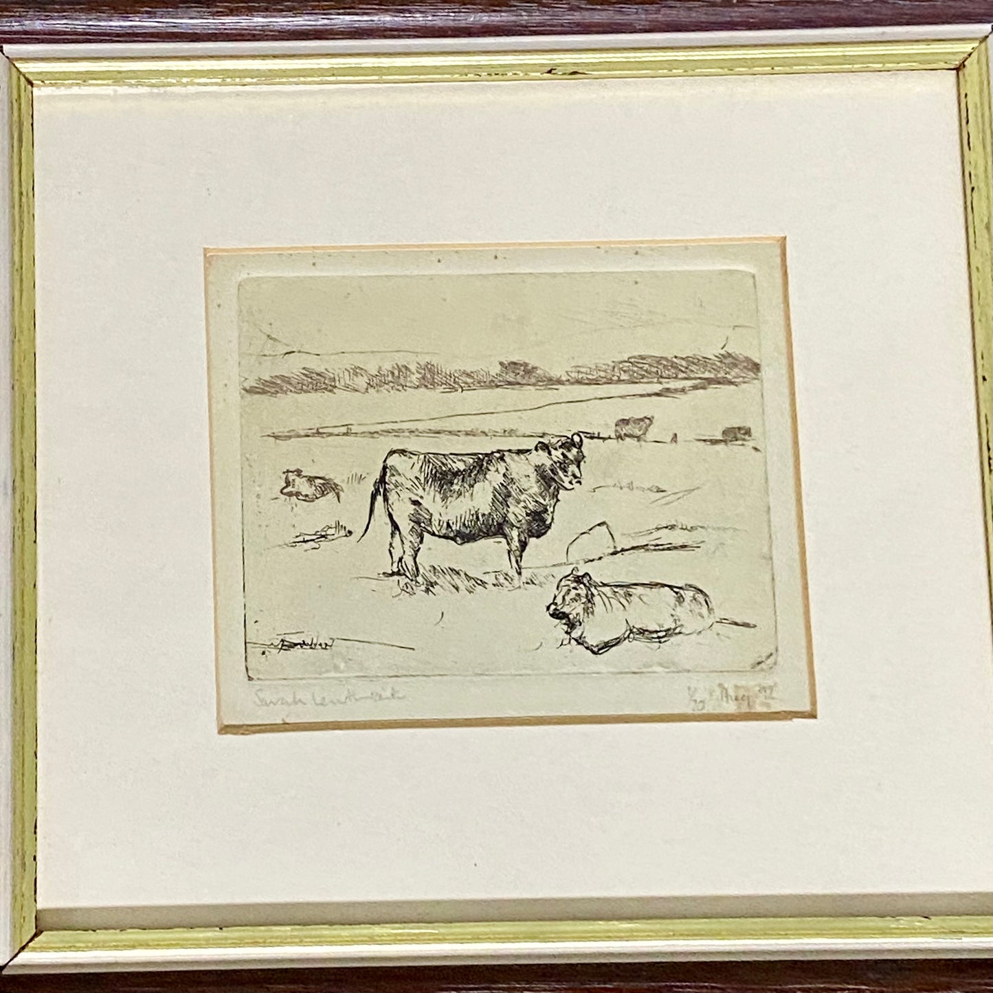Vintage Cows Etching Signed Sarah Lewthwaite 1992 No.1 / 20 Framed & Glazed Rare