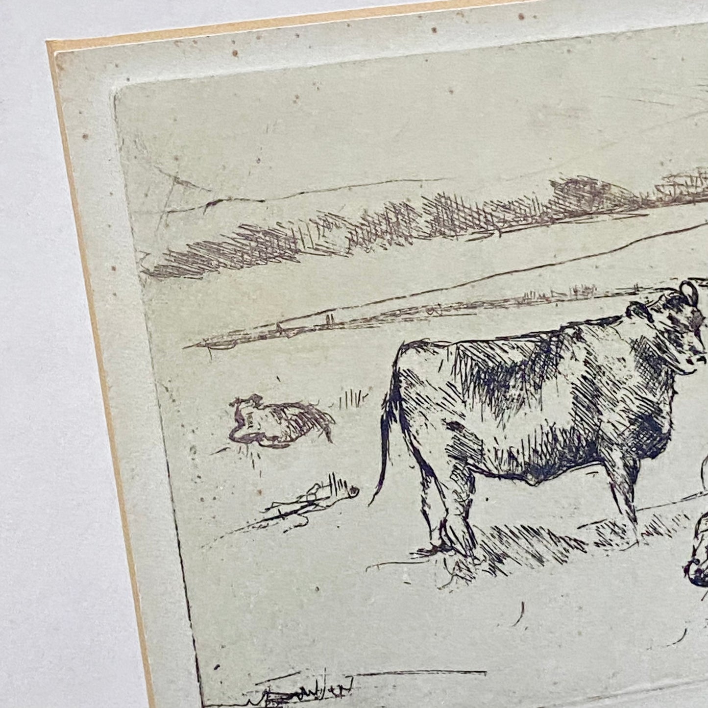 Vintage Cows Etching Signed Sarah Lewthwaite 1992 No.1 / 20 Framed & Glazed Rare