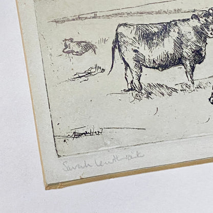 Vintage Cows Etching Signed Sarah Lewthwaite 1992 No.1 / 20 Framed & Glazed Rare