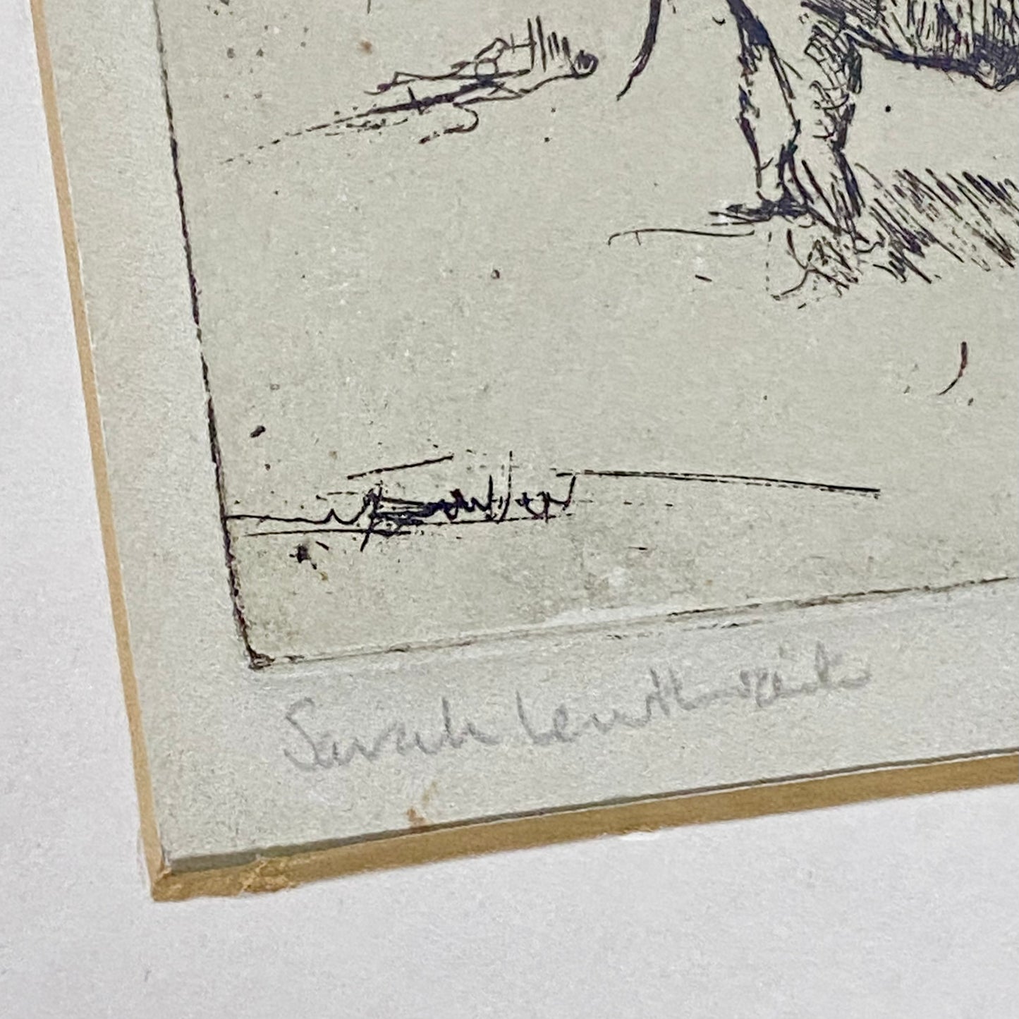 Vintage Cows Etching Signed Sarah Lewthwaite 1992 No.1 / 20 Framed & Glazed Rare