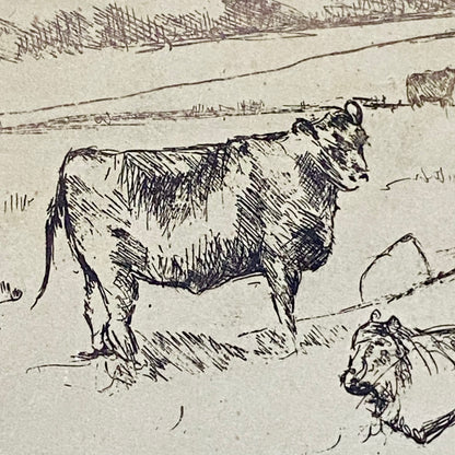 Vintage Cows Etching Signed Sarah Lewthwaite 1992 No.1 / 20 Framed & Glazed Rare