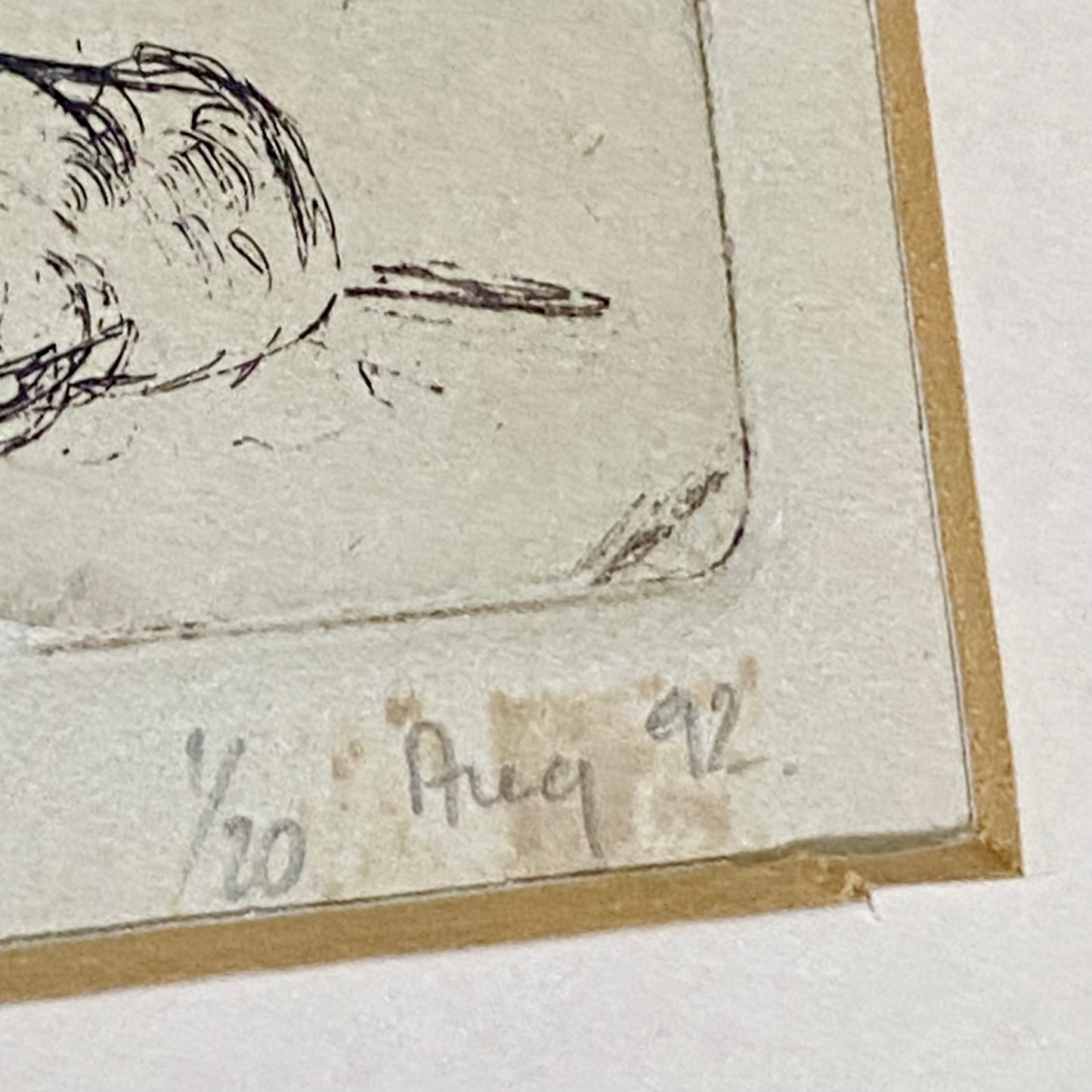 Vintage Cows Etching Signed Sarah Lewthwaite 1992 No.1 / 20 Framed & Glazed Rare