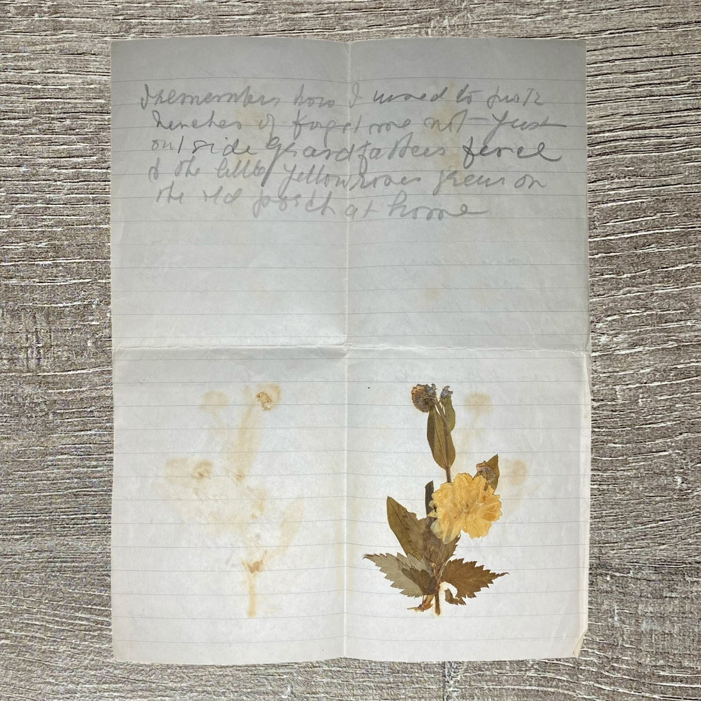 WWII 1944 Cover & Soldier Letter With Flower New Zealand To England 2d Rare