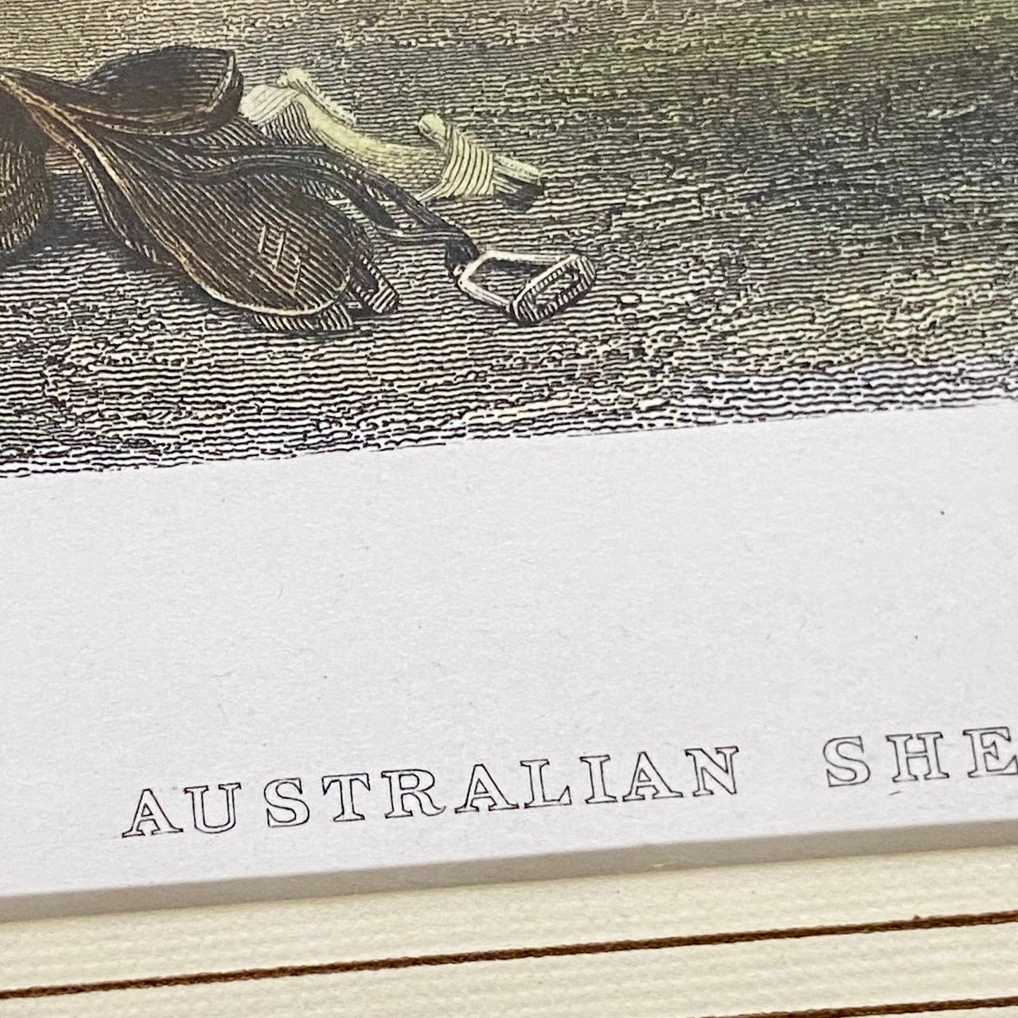 Australian Shepherd's Hut John Skinner Prout Engraving Print c1860 Framed Glazed