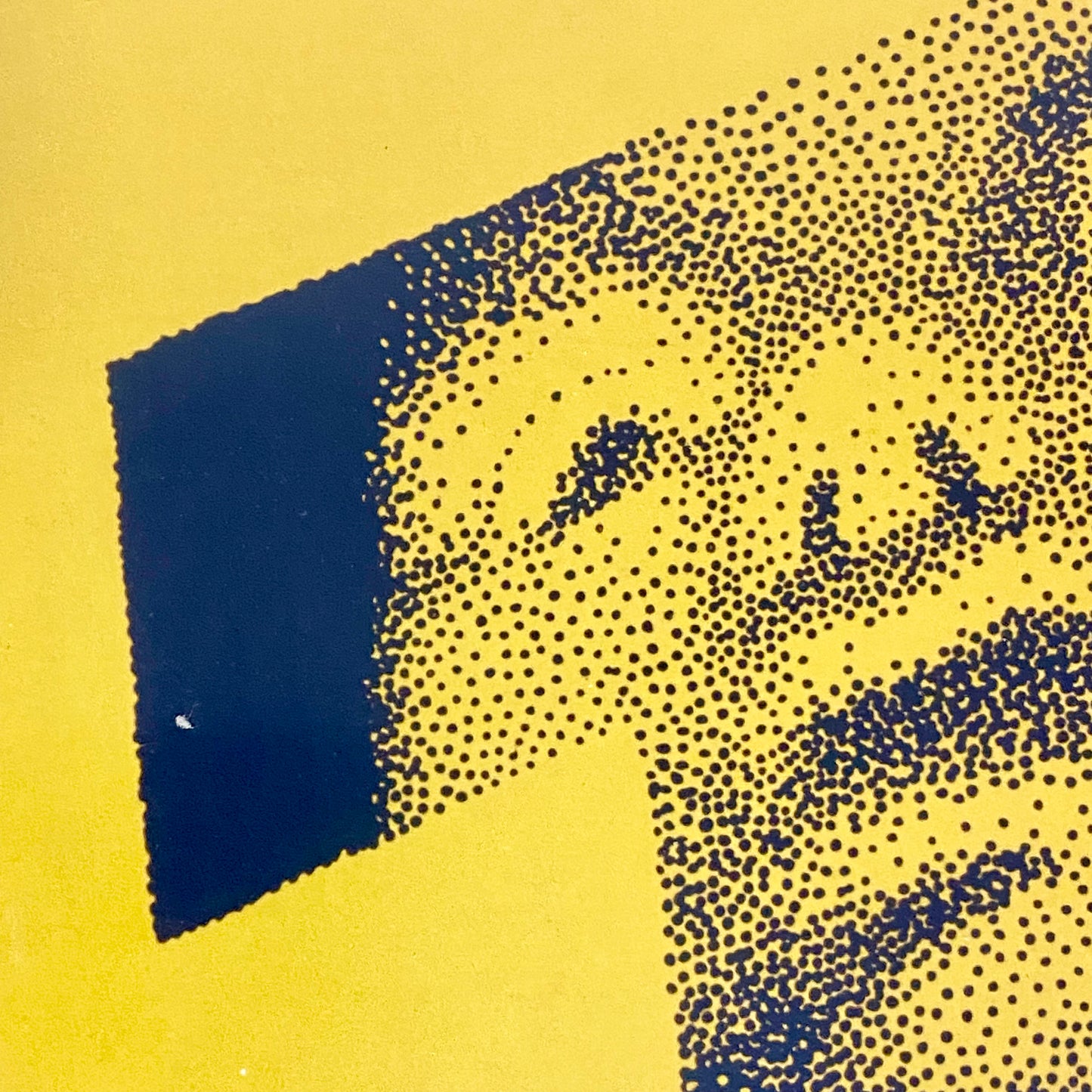 Vintage The Shining Horror Film Promotional Poster Official Warner Bros Plaque