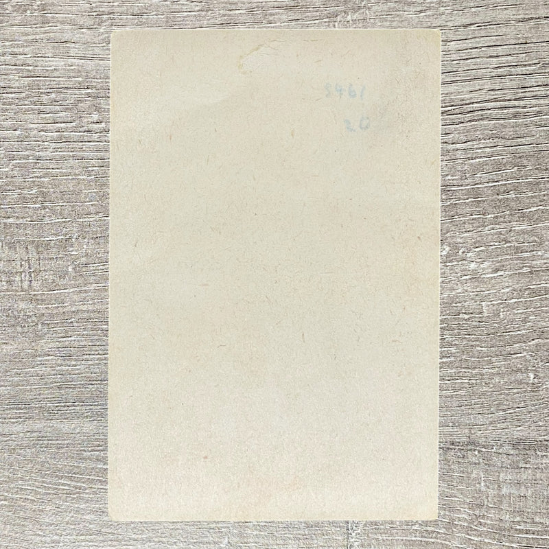 Early 20th Century Puros Finos Fine Cigars Advertising Cigar Box Paper Label