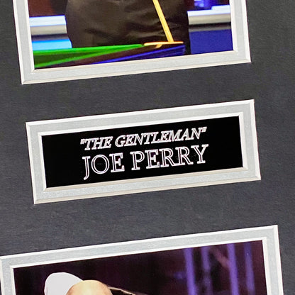 Mark Selby & Joe Perry Professional Snooker Players Signed Mounted Display Rare