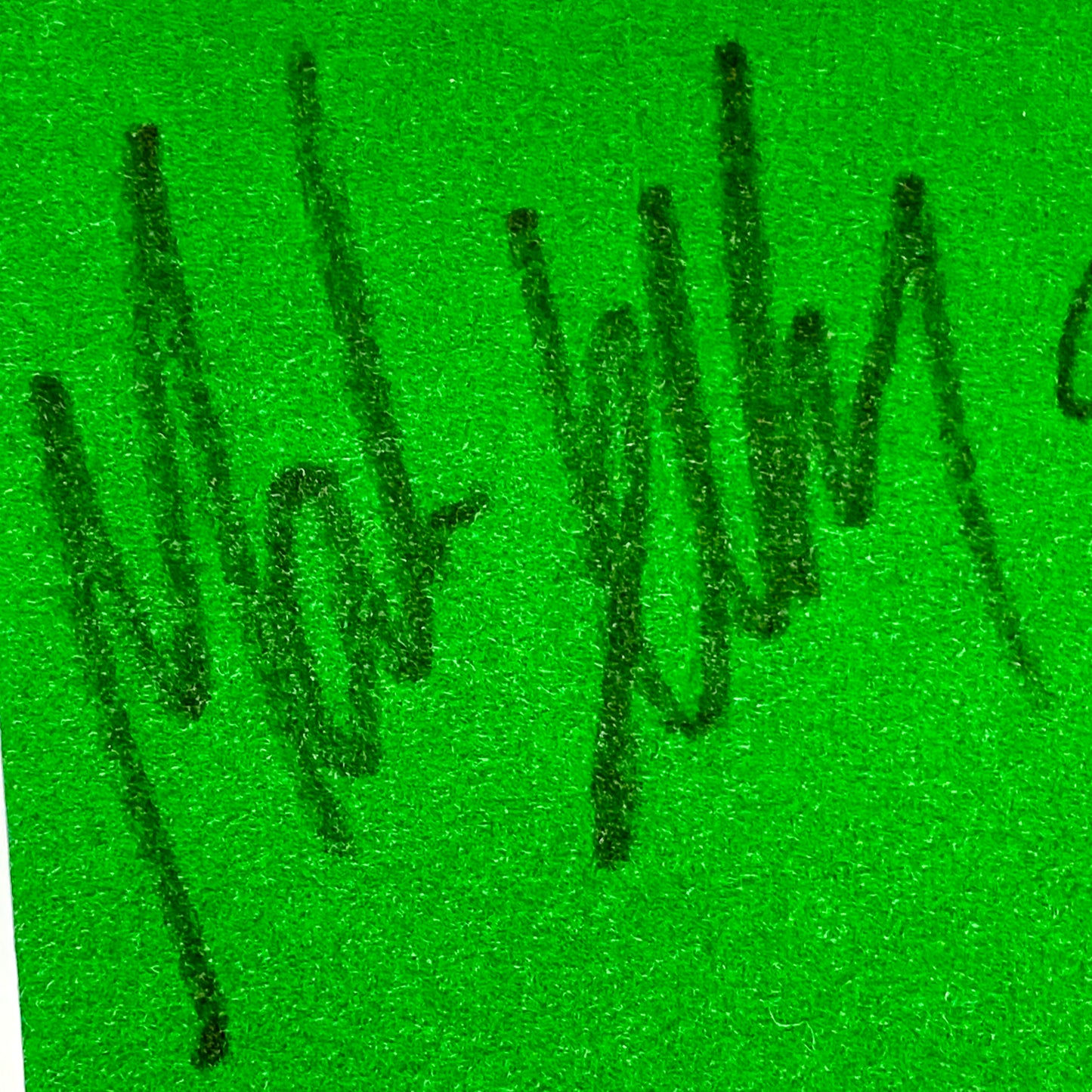 Mark Selby & Joe Perry Professional Snooker Players Signed Mounted Display Rare