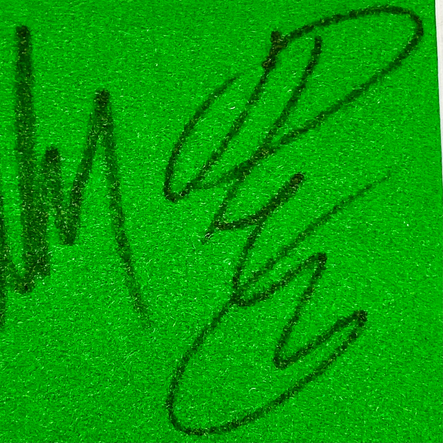 Mark Selby & Joe Perry Professional Snooker Players Signed Mounted Display Rare