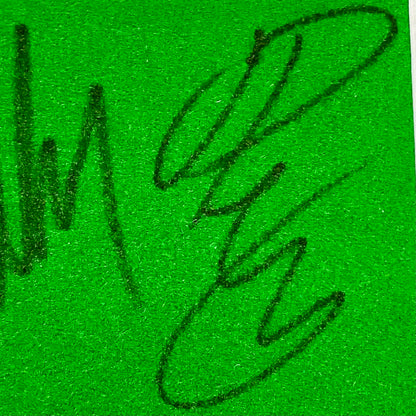 Mark Selby & Joe Perry Professional Snooker Players Signed Mounted Display Rare