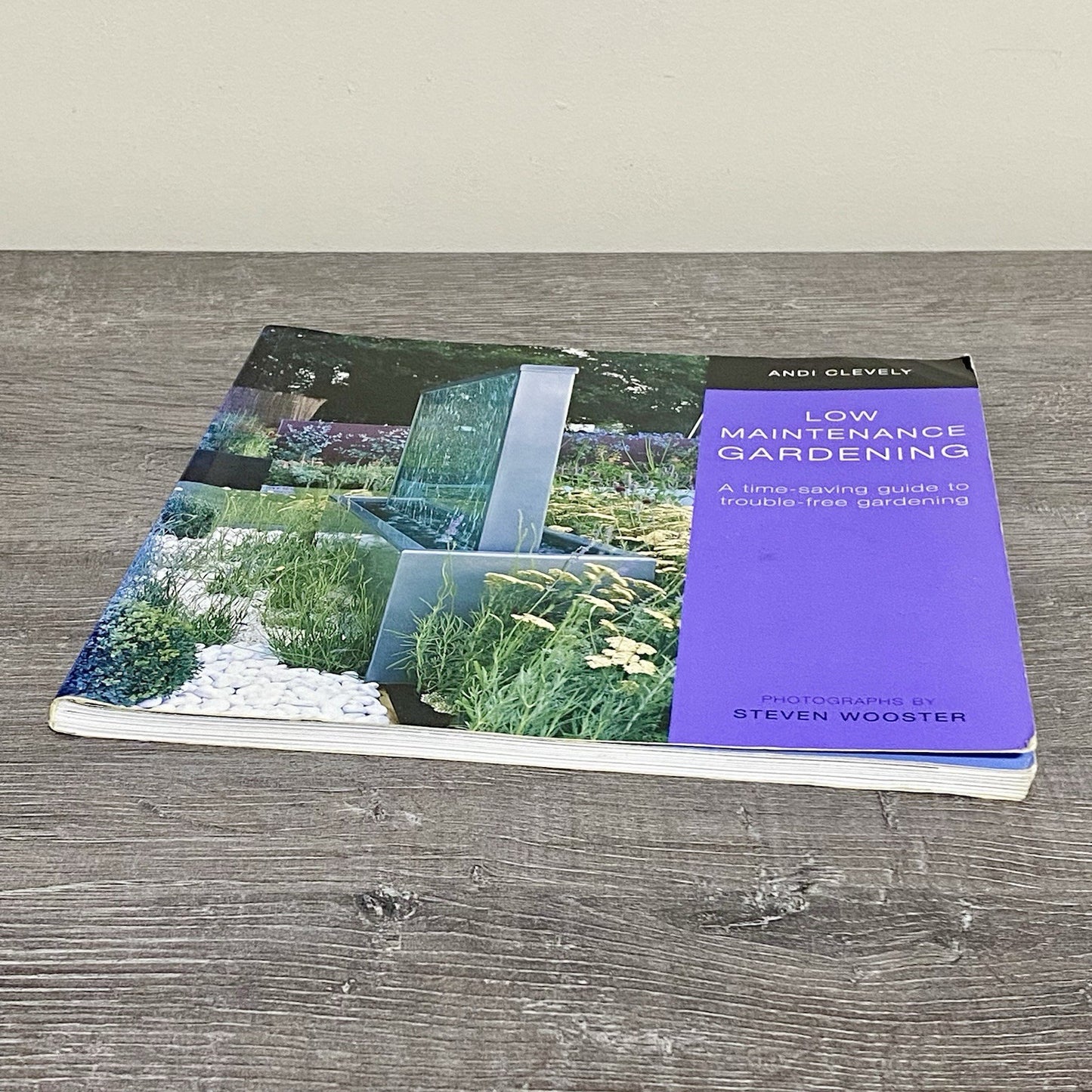 Low Maintenance Gardening Andi Clevely Guide To Trouble Free Gardening Book