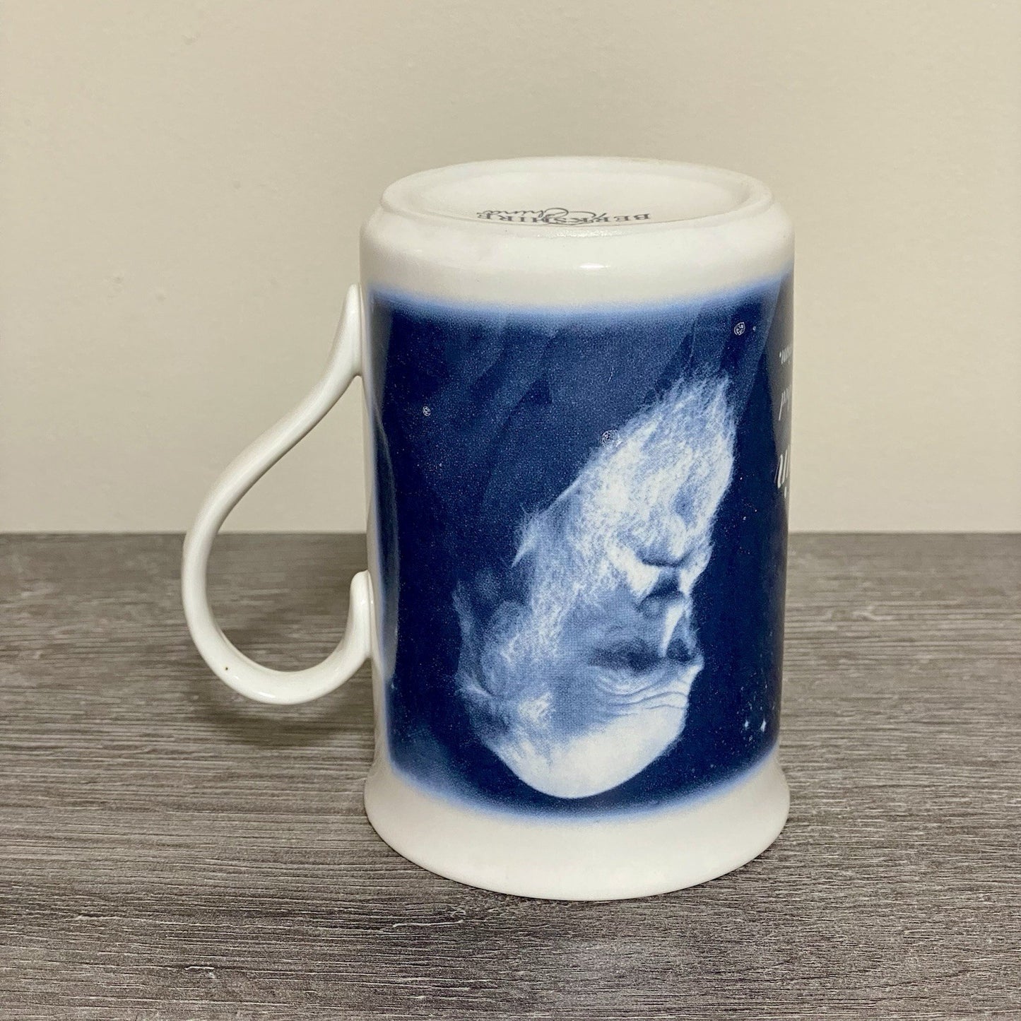 Charles Robert Darwin 99 Coffee Mug Tea Cup Berkshire China Collectible Rare