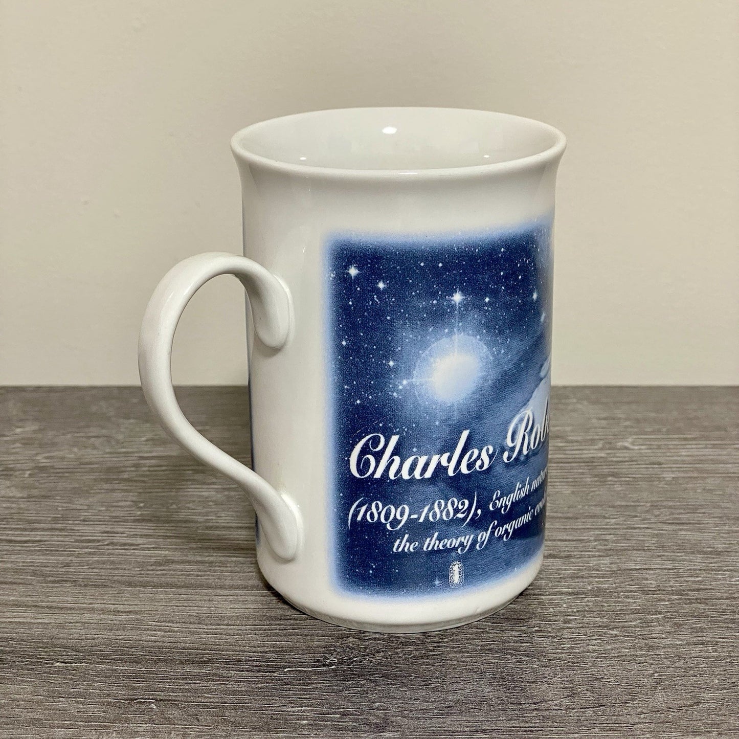 Charles Robert Darwin 99 Coffee Mug Tea Cup Berkshire China Collectible Rare