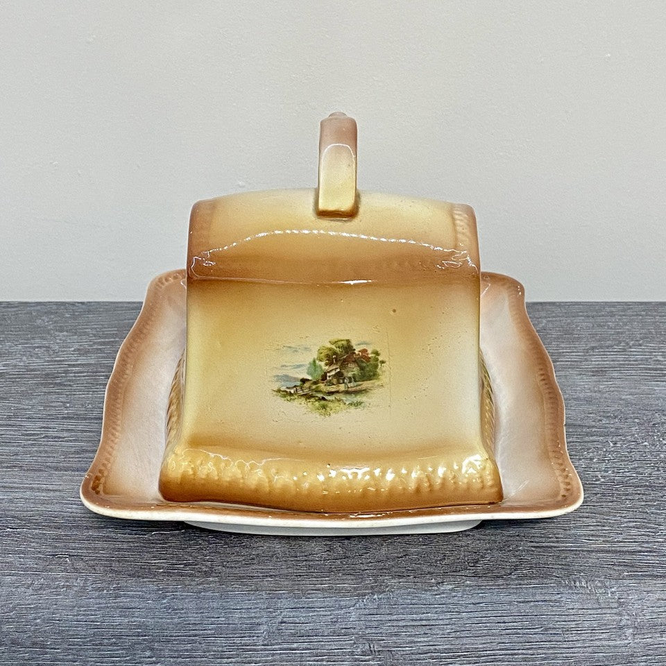 Vintage Villeroy & Boch Rectangular Butter Cheese Dish With Lid Art Deco Rare