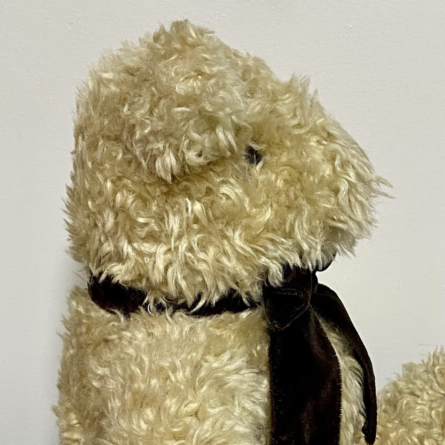 Vintage Schubert La Senza Collectible Soft Plush Teddy Bear 1997 Limited Edition