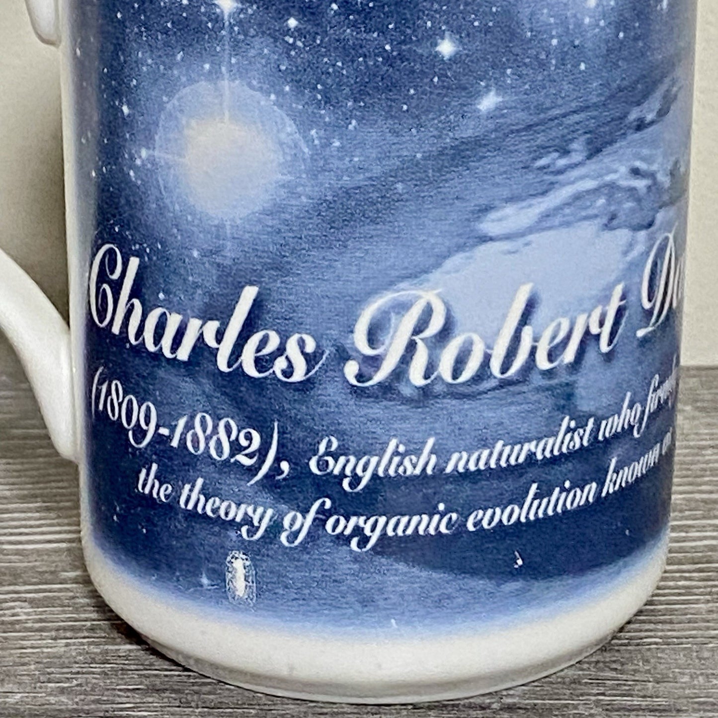 Charles Robert Darwin 99 Coffee Mug Tea Cup Berkshire China Collectible Rare