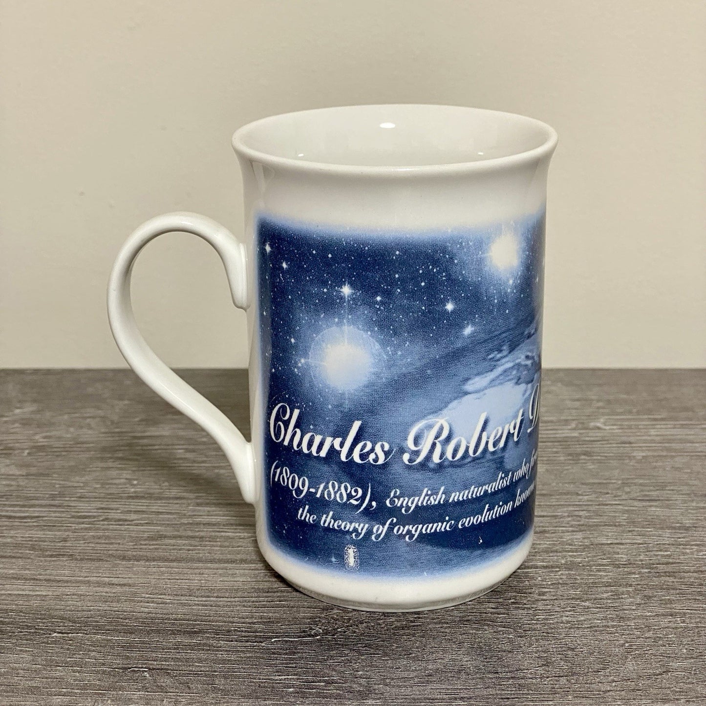 Charles Robert Darwin 99 Coffee Mug Tea Cup Berkshire China Collectible Rare