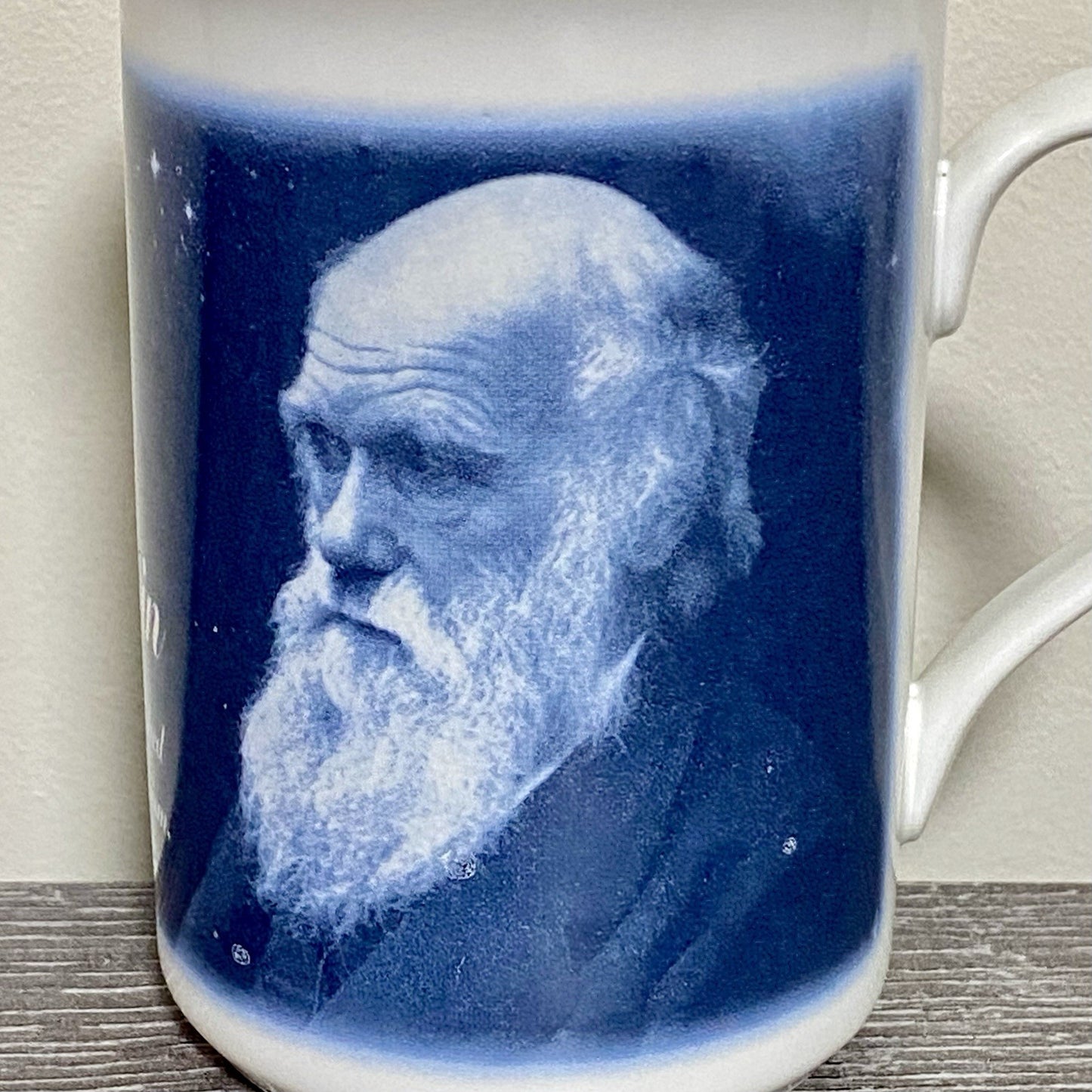 Charles Robert Darwin 99 Coffee Mug Tea Cup Berkshire China Collectible Rare