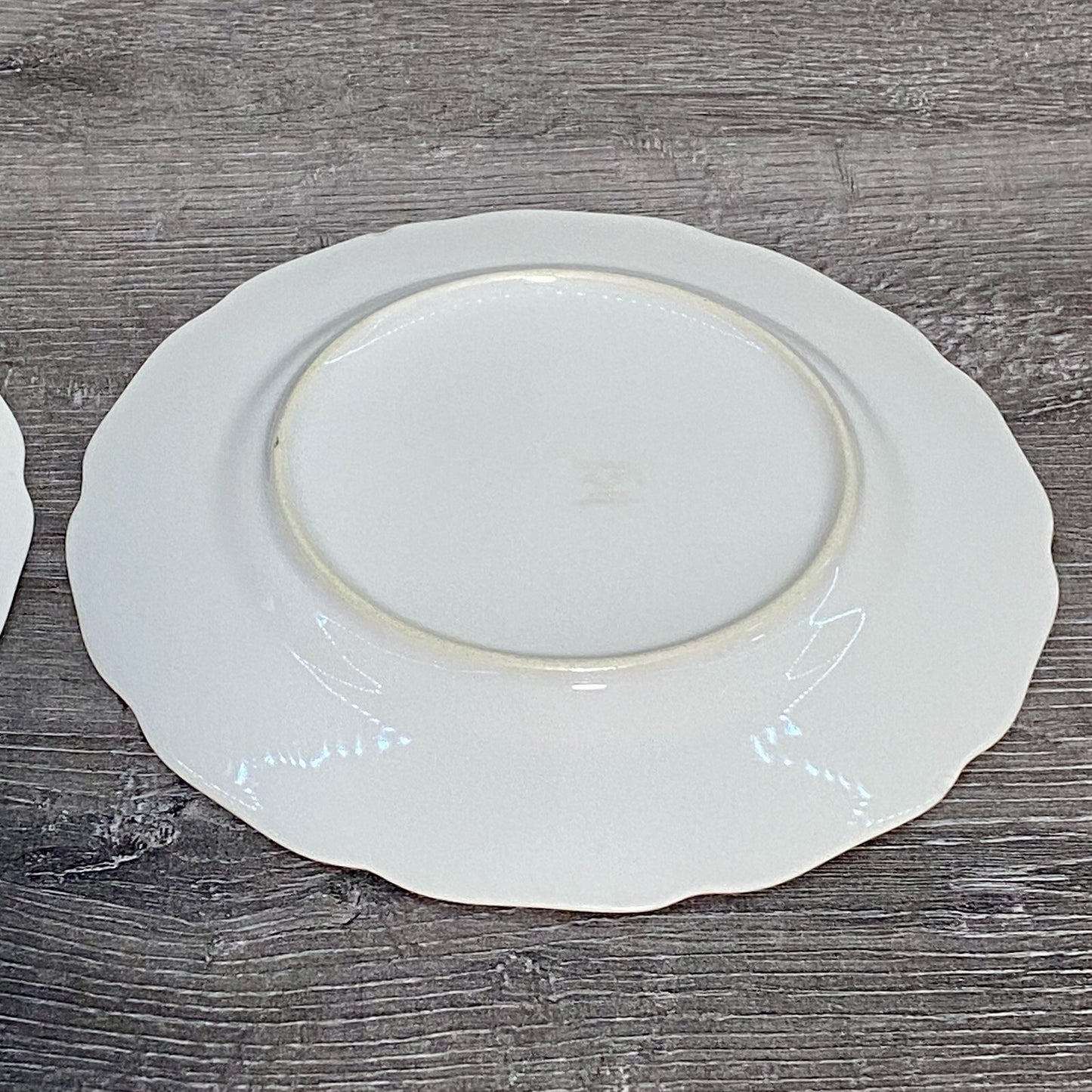 Vintage 2x Epiag Czechoslovakia Floral Plate Plates Rose Round Platter Czech Set