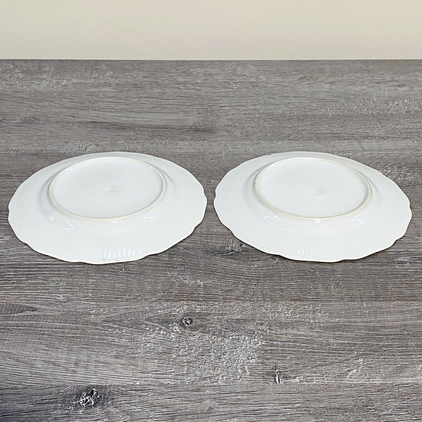 Vintage 2x Epiag Czechoslovakia Floral Plate Plates Rose Round Platter Czech Set