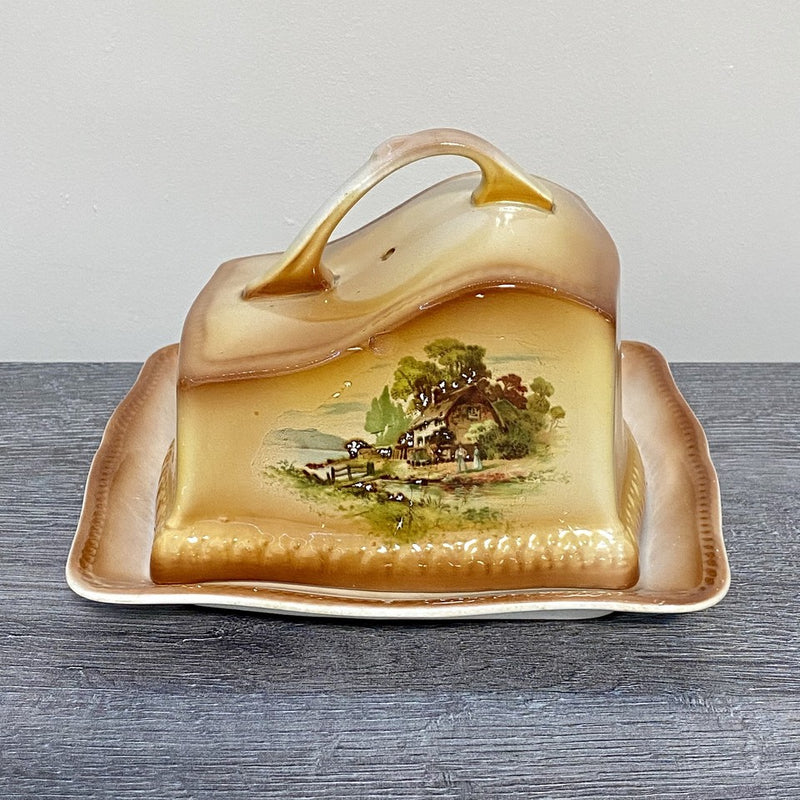 Vintage Villeroy & Boch Rectangular Butter Cheese Dish With Lid Art Deco Rare