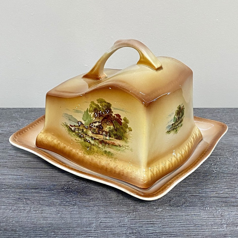 Vintage Villeroy & Boch Rectangular Butter Cheese Dish With Lid Art Deco Rare