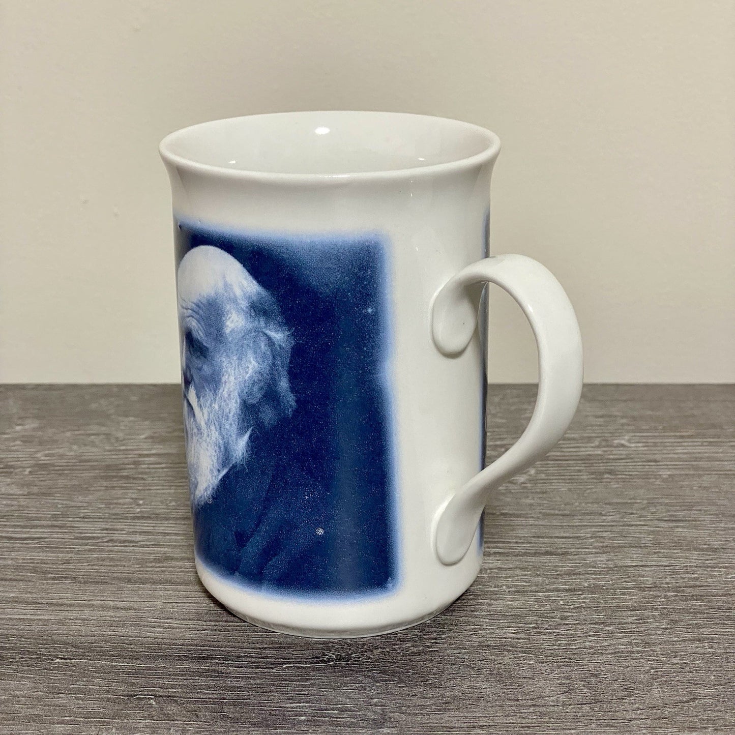Charles Robert Darwin 99 Coffee Mug Tea Cup Berkshire China Collectible Rare