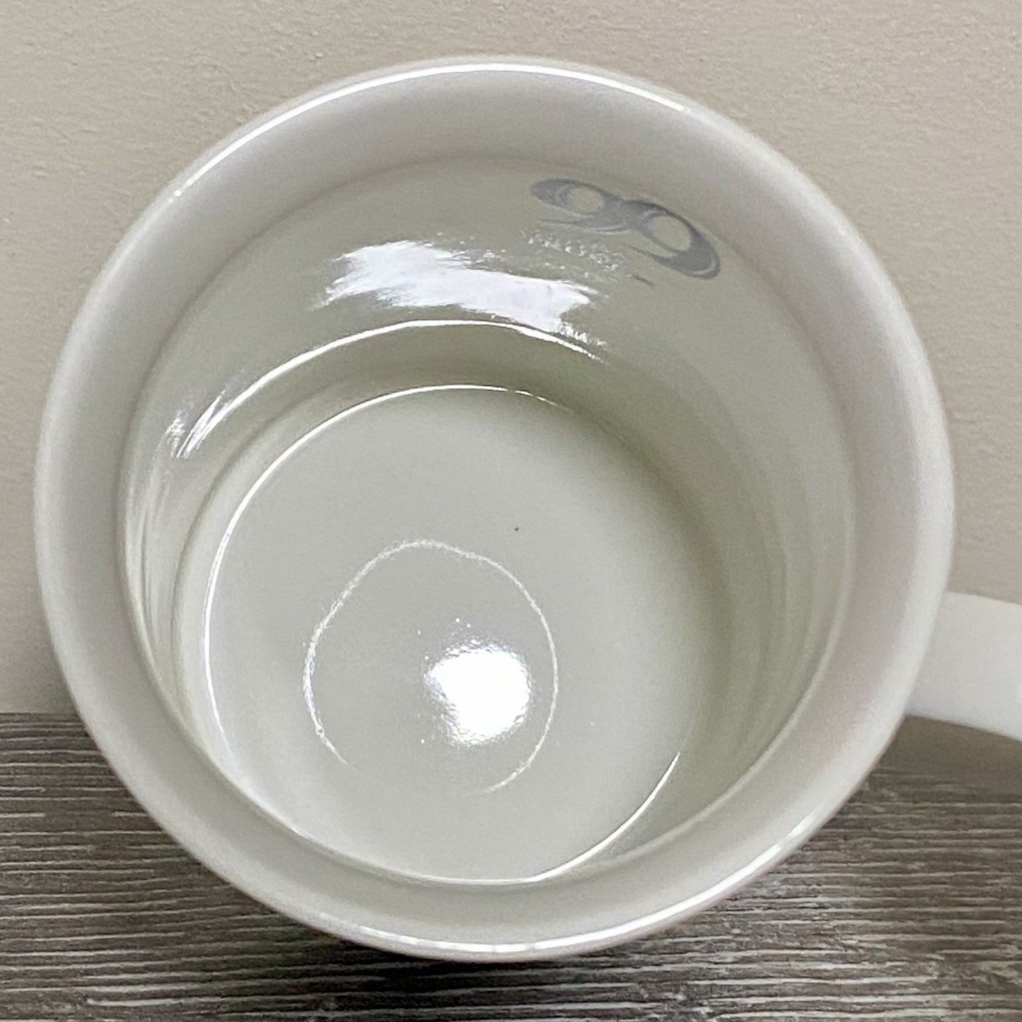 Charles Robert Darwin 99 Coffee Mug Tea Cup Berkshire China Collectible Rare