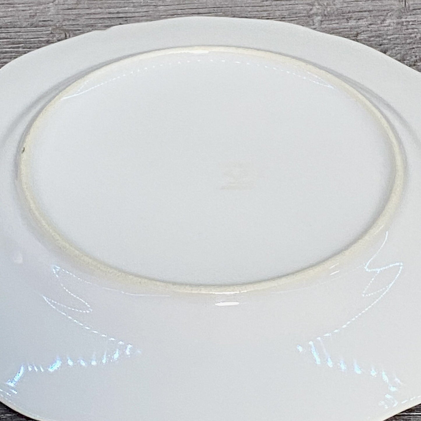 Vintage 2x Epiag Czechoslovakia Floral Plate Plates Rose Round Platter Czech Set