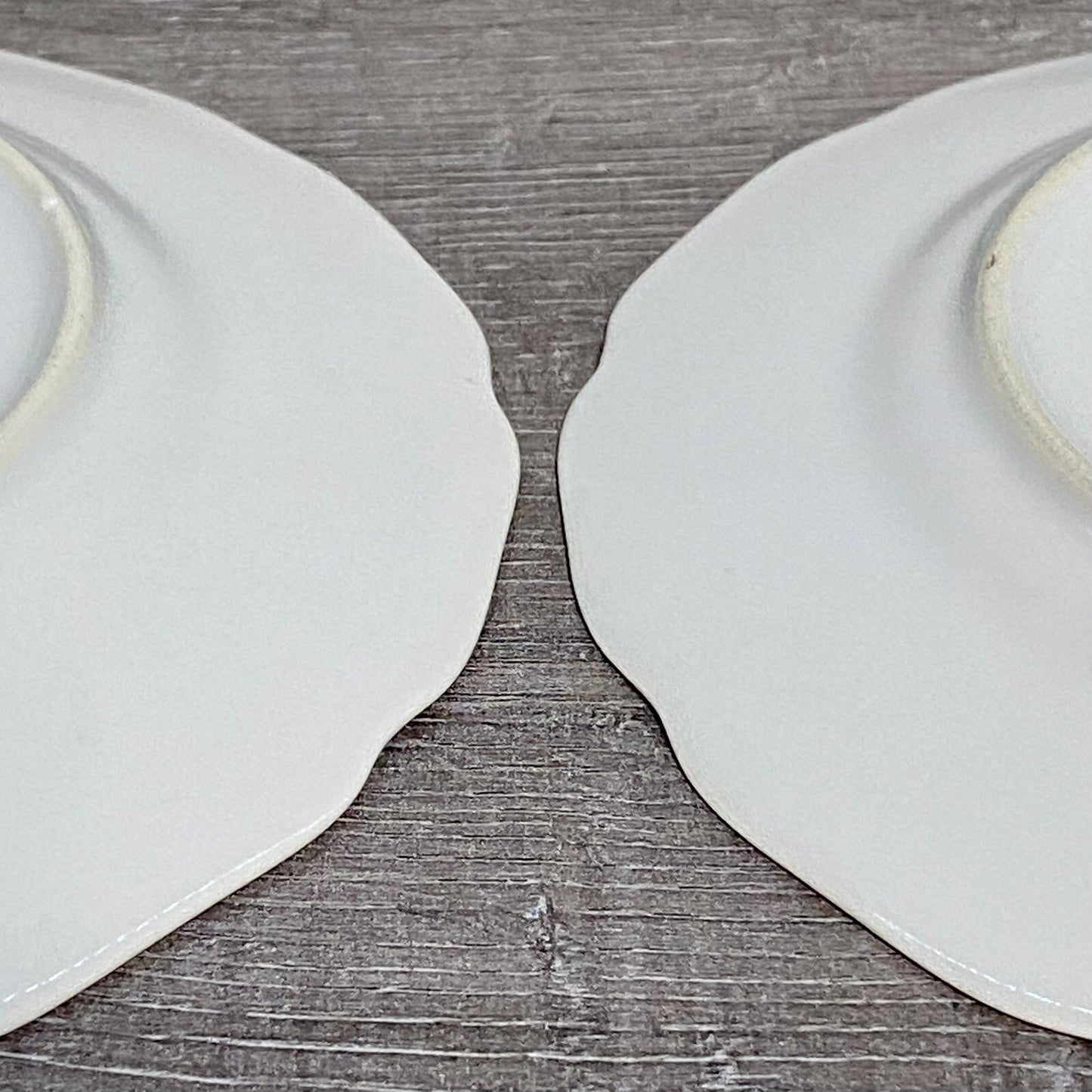 Vintage 2x Epiag Czechoslovakia Floral Plate Plates Rose Round Platter Czech Set