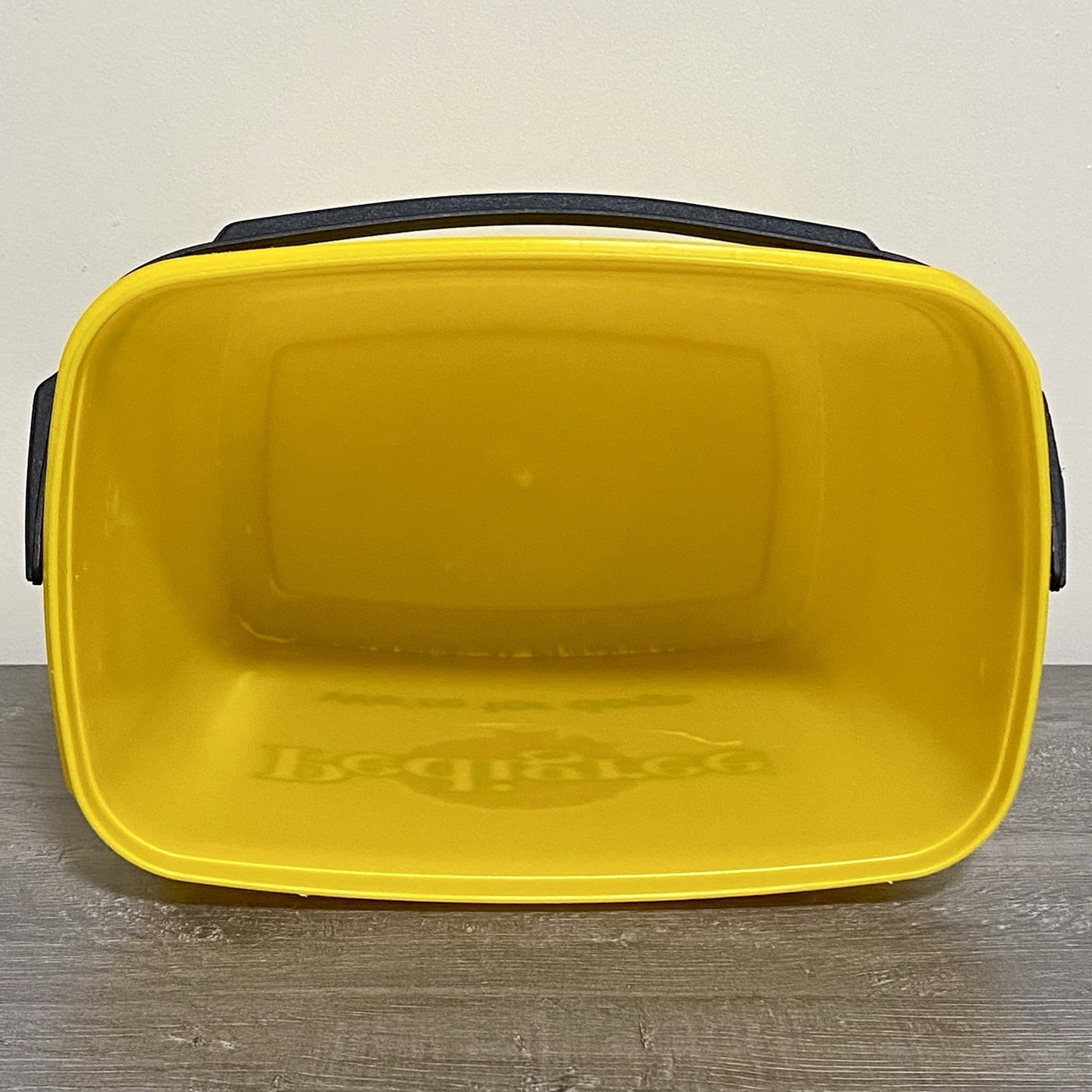 Pedigree Storage Tub For Dogs Bucket With Handle Weak Handle No Lid Rare Find