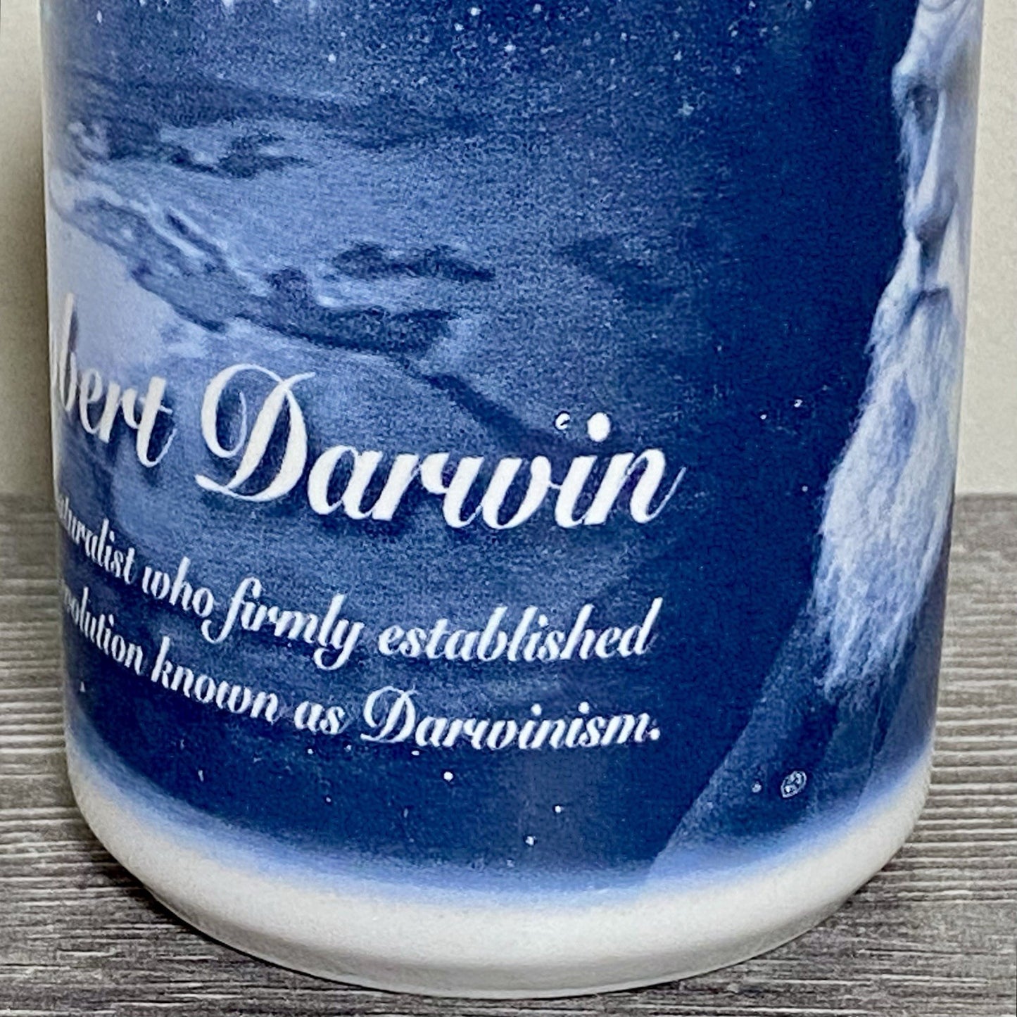 Charles Robert Darwin 99 Coffee Mug Tea Cup Berkshire China Collectible Rare