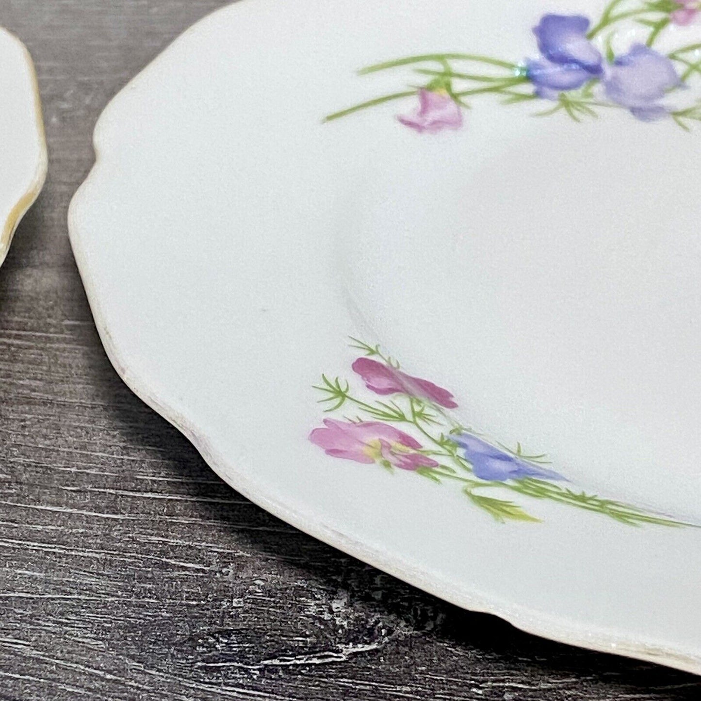 Vintage 2x Epiag Czechoslovakia Floral Plate Plates Rose Round Platter Czech Set